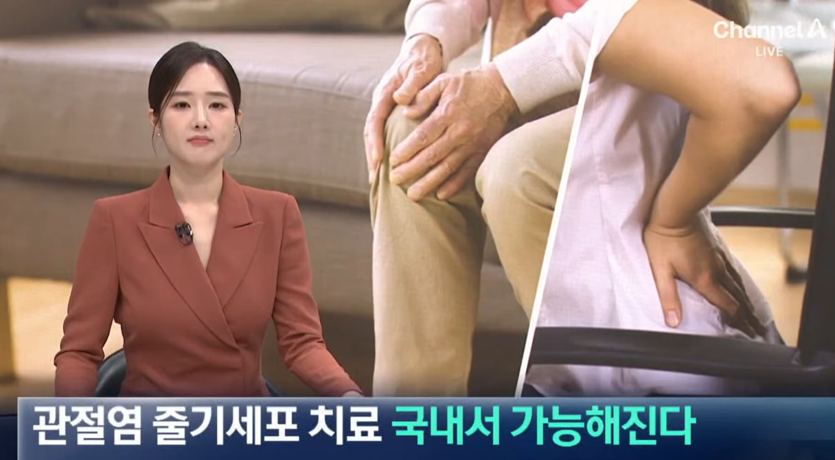 국내서도 관절염 줄기세포 치료 가능해진다 Image